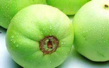 甜瓜最新爆料下载,揭秘娱乐圈幕后真相